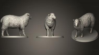 3D model Sheep (STL)